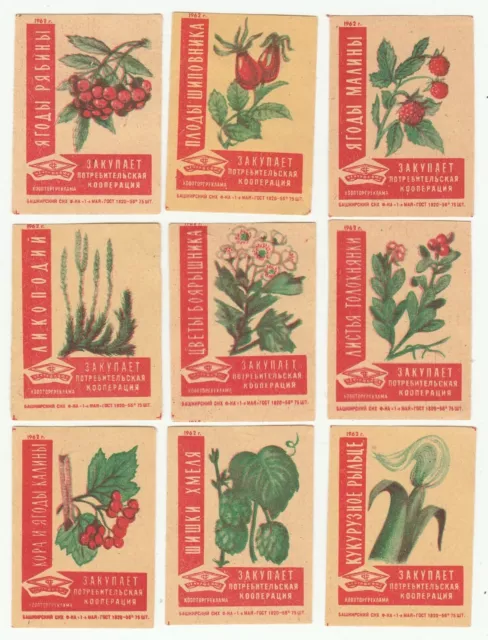 Complete set of Herbs - Matchbox Labels- USSR - CCCP- Soviet (p5)