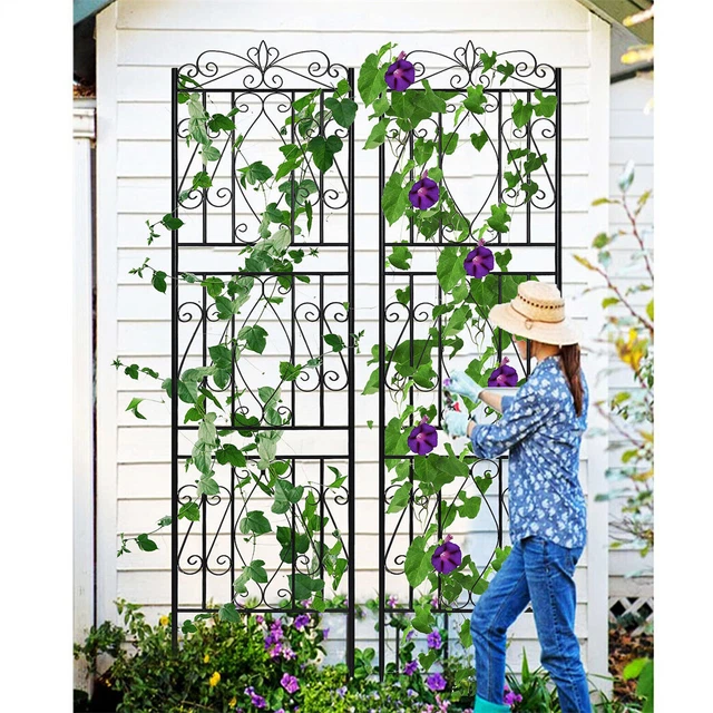 LARGE METAL GARDEN Trellis Fence Panels Plants Trellis Outdoor Yard