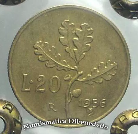 Repubblica Italiana - 20 Lire Ramo di Quercia dal 1956 al 2001 da BB a FDC ECZ