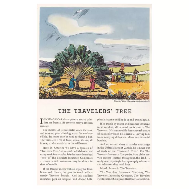 1935 Travelers Insurance: Travelers Tree Madagascar Vintage Print Ad