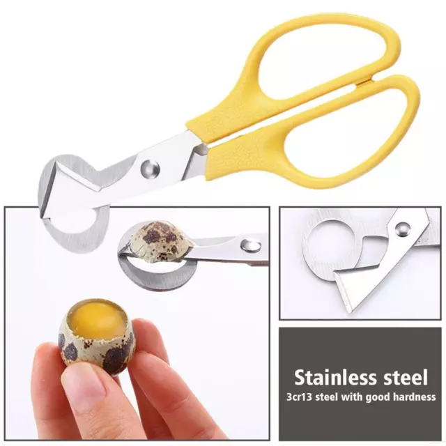 Stainless Steel Quail Egg Scissors Set Cracker And Cigar Cutter