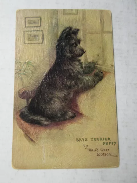 Maud West Watson SKYE TERRIER PUPPY Tuck Oilette DOG Postcard VINTAGE