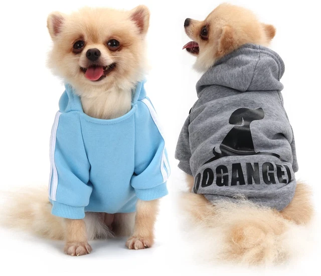 QICHENG LYS FELPA CANE Abbigliamento per Cani Maglioni Cani Comodo