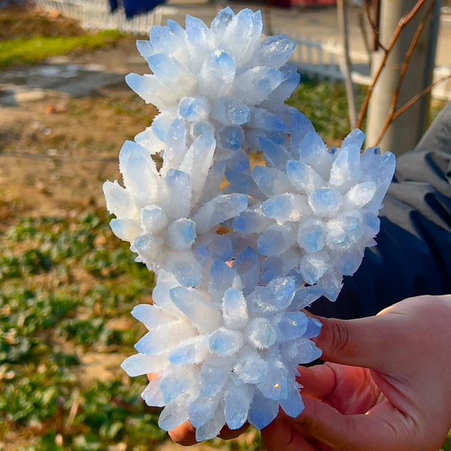 3.01LB New Find sky blue Phantom Quartz Crystal Cluster Mineral Specimen Healing 3