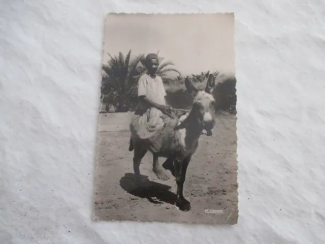 Cpsm Maroc Scenes Et Types  Enfant Berger Et Ane Carte Postale  Ancienne Ev 1957
