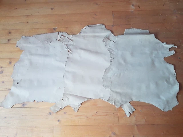 Lederhaut Lederstück Leder