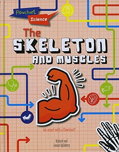 FLOWCHART SCIENCE: THE Human Body: ..., Spilsbury, Rich £4.10 - PicClick UK