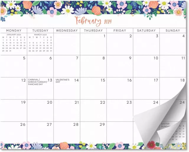 S&O Floral Magnetic Fridge Calendar from January 2024-June 2025-Tear-Off Refr...