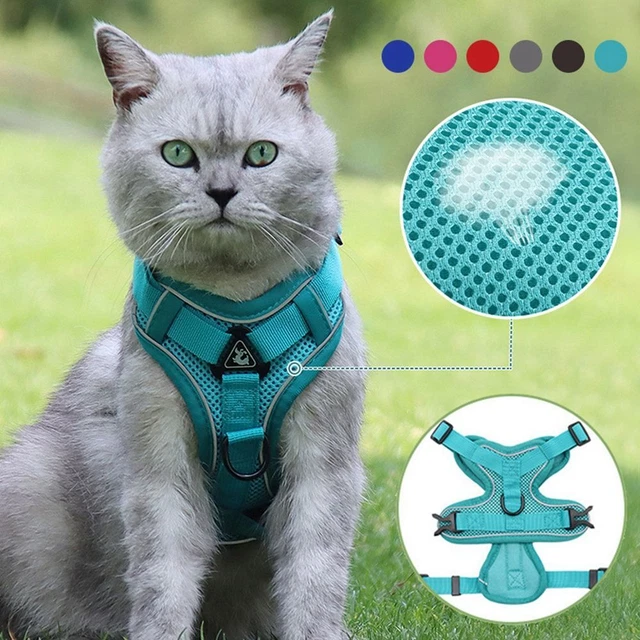 Pet Cat Harness & Leash Set Breathable Adjustable Dog Harness Small Dogs Cat UK