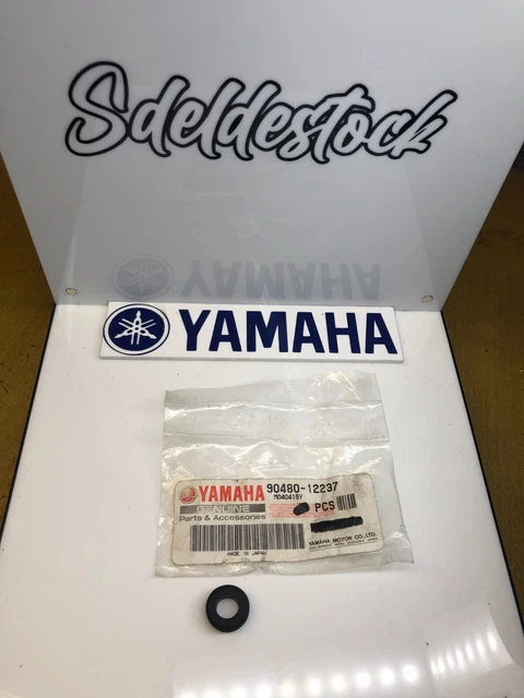 Carena PISTA Carbonin VETRORESINA YAMAHA YZF R6   2008 2009 2010 2011 2012