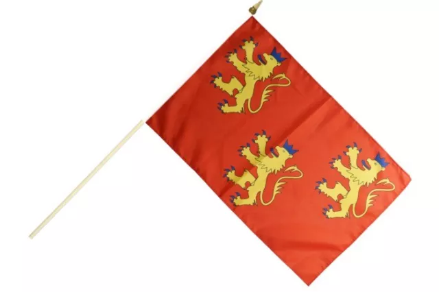 Frankreich Dordogne Stockflagge Flaggen Fahnen Stockfahne 30x45cm