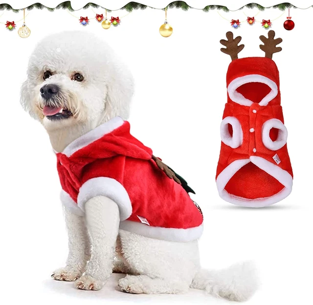 Vestiti Natale Gatto Cane, Costume Natale Gatto Natale Animale Domestico Costume