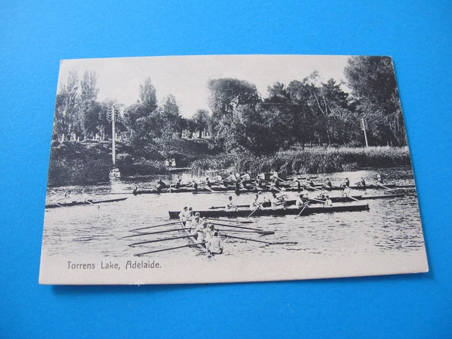 Rowing on Torrens Lake Adelaide South Australia Postcard
