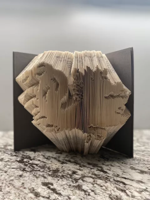 ￼ Carolina Gamecocks folded book Art, Handcrafted Gift