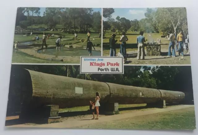 Kings Park Perth WA Australia 1980's Vintage Postcard BBQ Families