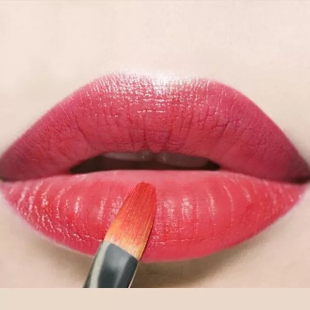 New Pro Makeup Lip Brush Portable Retractable Cosmetic Tool Lipstick Glo:_: