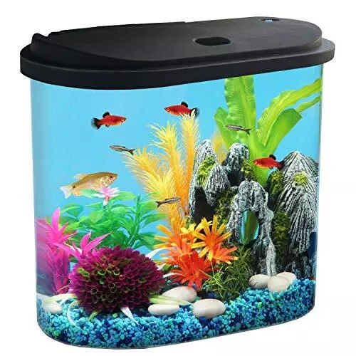 AquaView 4.5-Gallon Aquarium Starter Kit with Full Filtration and LED