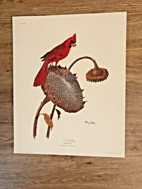 Ray Harm Collection of 15 Prints All 16"x20" Ray Harm Collection of 15 Prints All 16"x20"