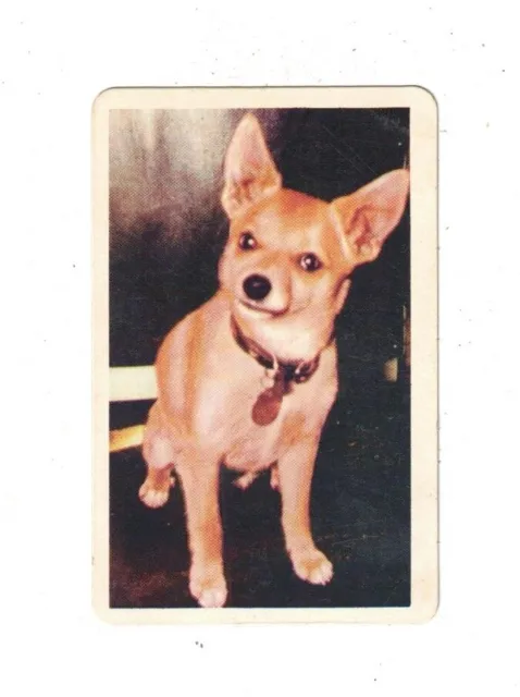 Swap Card - Original Golden Fleece 1960's - Green Card No. 7A  Our Family Friend