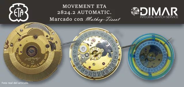 Eta 28242 cheap