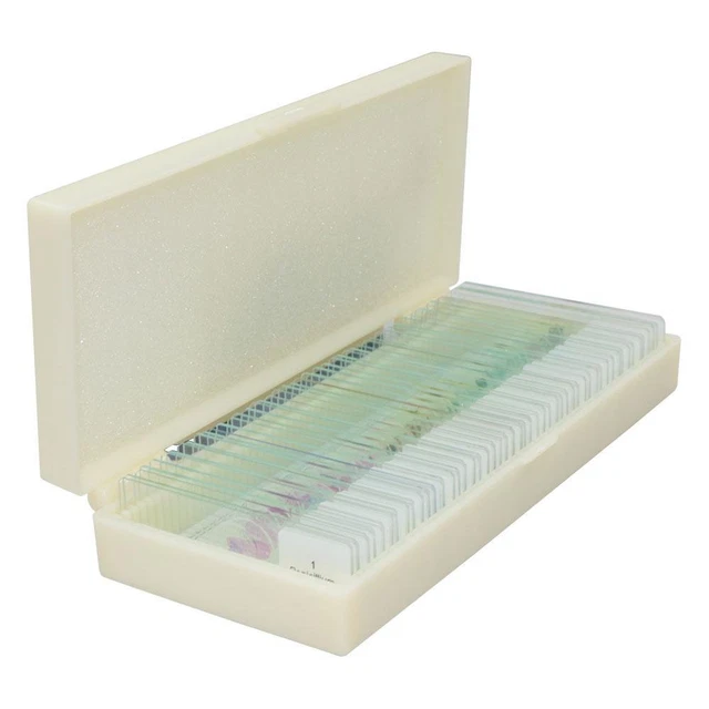 50 Professional Microscope Slides for Biological Study of Insects Plants