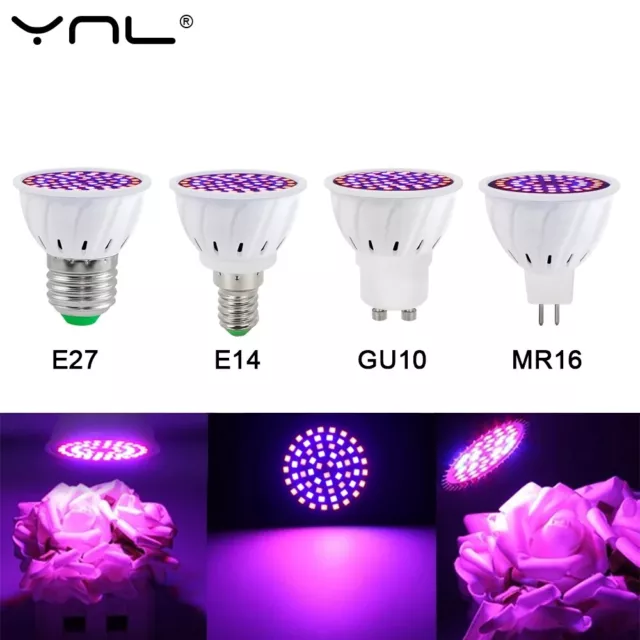 E27 MR16 GU10 Grow Lamp Full Spectrum Led Grow Light Bulb E14 1-12pcs Hydroponic