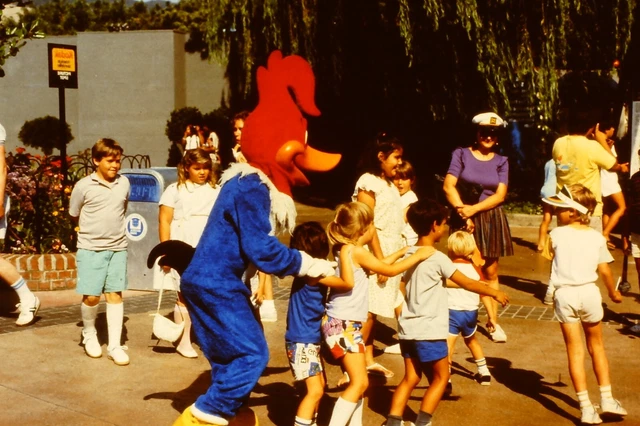 Woody Woodpecker Universal Studios Hollywood FOR SALE! - PicClick UK