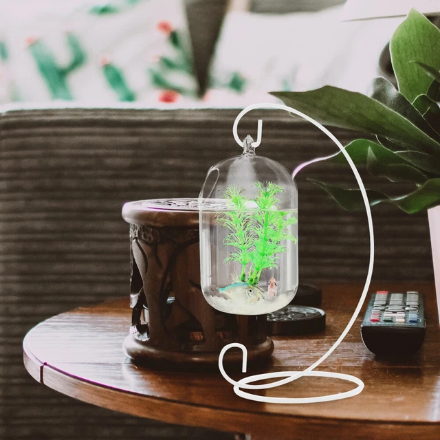 Home Fish Tank Aquariums & Bowls House Plants Small Indoor for Betta Glass Vase
