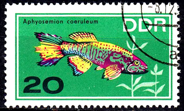 Deutschland DDR gestempelt Tier Fisch Gebänderter Prachtkärpfling Afrika / 5340