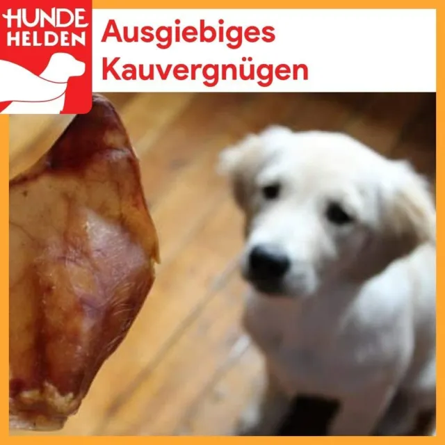 Getrocknete Kalbshufe für Hunde | Deutsche Herstellung Naturkauartikel w. Ohren 3