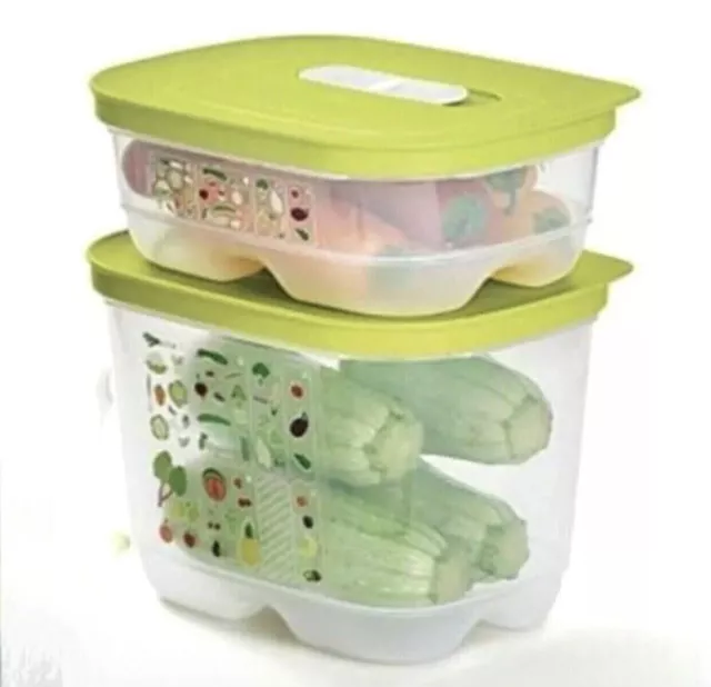 Brand New Tupperware Ventsmart Set of 2 Small High and Low Vegetable