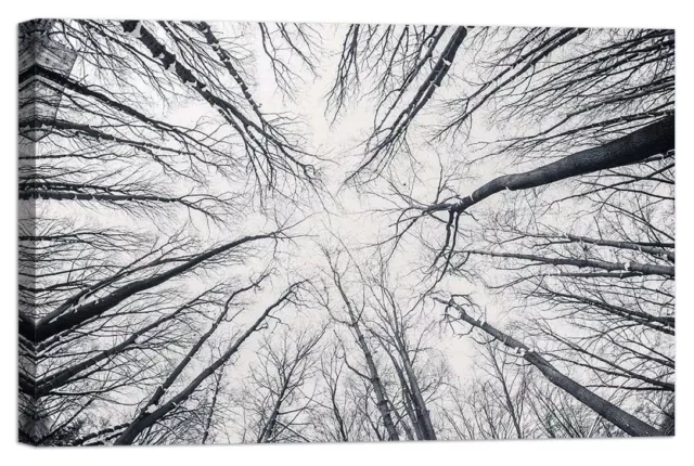 Stampa su Tela Vernice Effetto Pennellate alberi foresta