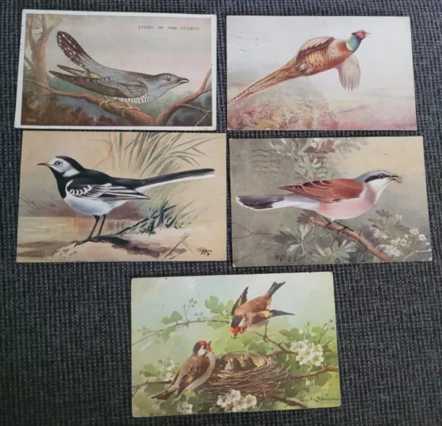 Various Bird Postcards Job Lot X 5 Postcards