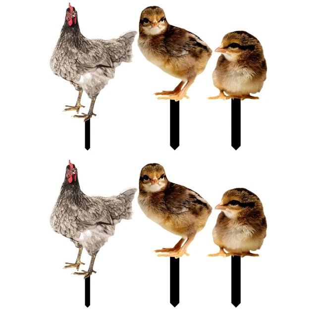 6 Pcs Chicken Lawn Art Garden Decoration Insert Outdoor Decorations Ground Plug