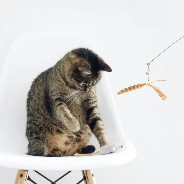 Juguete Gato Gato Teaser Con Cable De Acero Para Interior Mascota