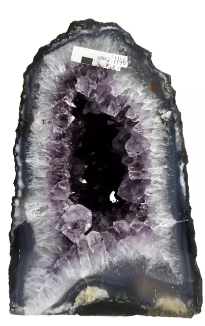 Amethyst  Druse Kristall Edelstein Achat Geode Bergkristall Quarz