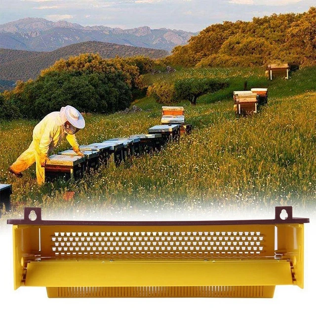 Plastic Trap Bee Keeping Tools Tray Entrance Collector Beekeeper Beekeeping Y3I8