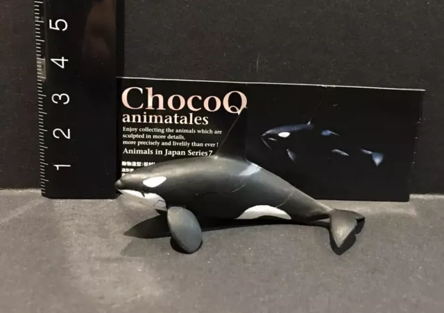 Kaiyodo Animatales Choco Q Series 7 Orca Killer Whale Figure