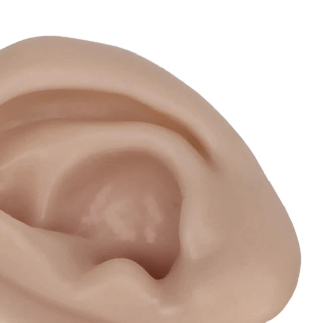 (Color Piel Oscura) Modelo de Oreja Elástico 1 Par Práctica Modelo de Oreja Flexible para