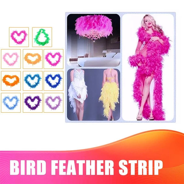 Accessorio costume boa in piuma 2 m abito elegante burlesque domenica di Pasqua 11 colori√
