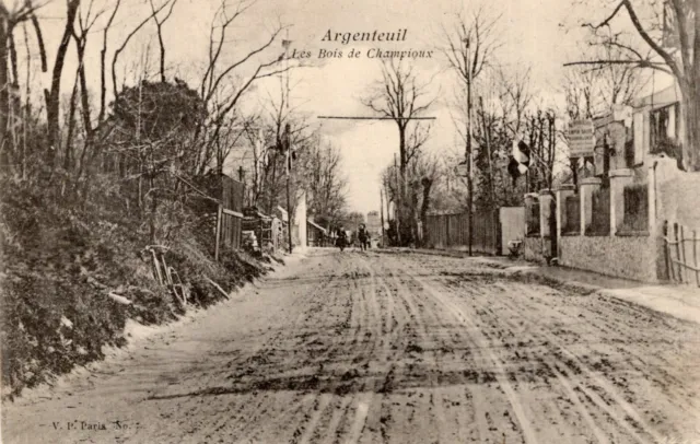 *10646 cpa Argenteuil - les Bois de Champioux