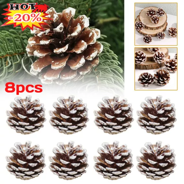 8x Pine Cones Christmas Wreath Making Supplies DIY Pinecone Décor Fro Prof