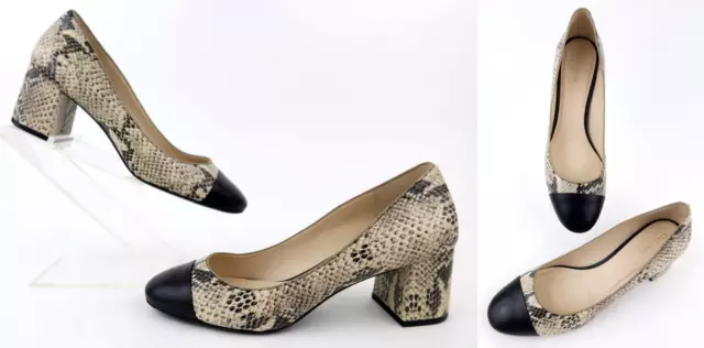 Dawna grand pump sale