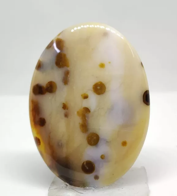 92.40 Cts.Natural Superb Polkadot Jasper Wholesale Lot  Loose Gemstone Cabochon