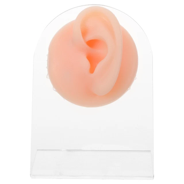 1 juego modelo de piercing de orejas de silicona, modelo de oreja falso,