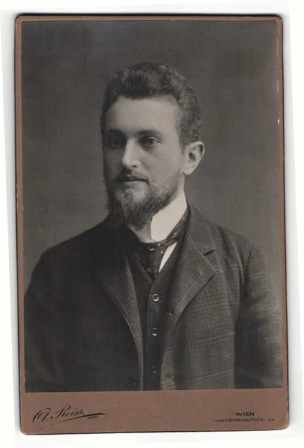 Fotografie A. Reiss, Wien, Portrait stattlicher Herr im Anzug mit Krawatte und