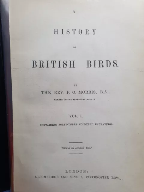 Antique Print The Golden Eagle History of British Birds by F.O. Morris 2