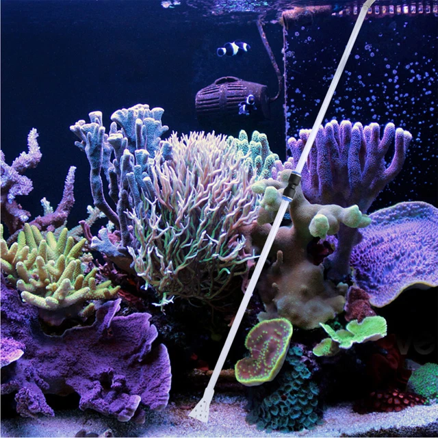 Aspirateur De Gravier Changeur D'eau Pour Aquarium Outils Électriques Propre
