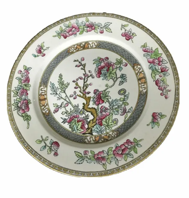 Wedgwood &co Unicorn Indian Tree Plate. Vintage. Pink Green. Floral. Pretty