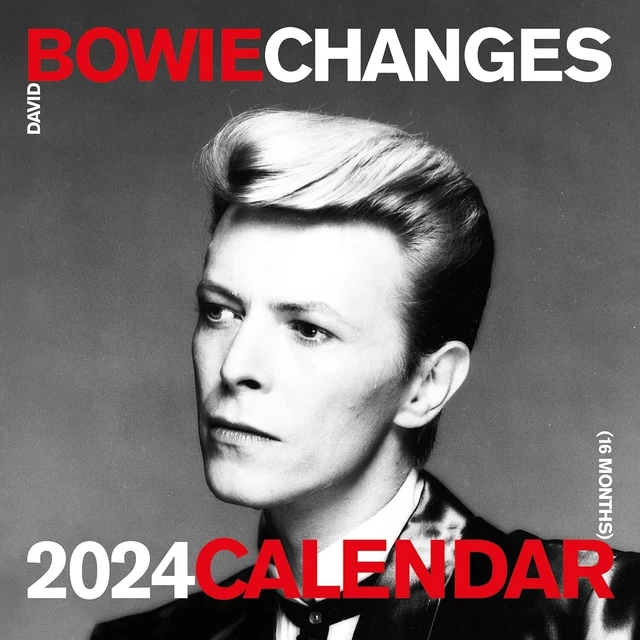 DAVID BOWIE OFFICIAL 2024 Calendar Officially Licensed 15.38 PicClick